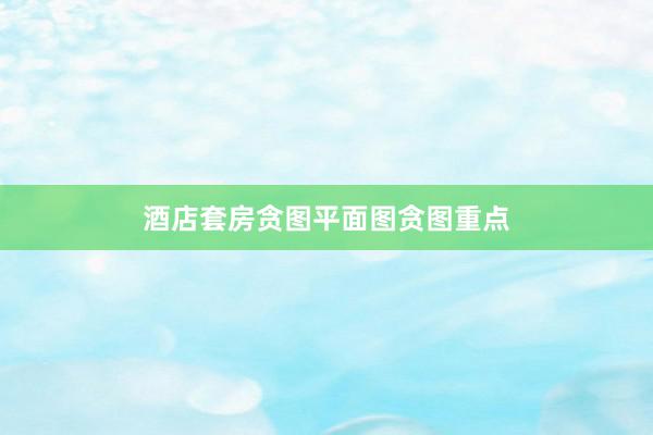 酒店套房贪图平面图贪图重点
