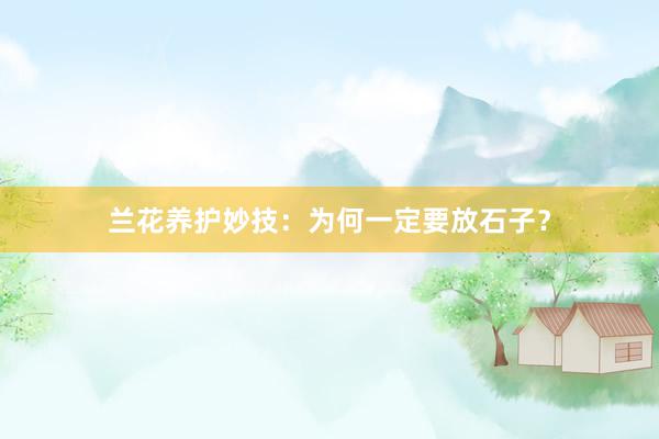 兰花养护妙技:为何一定要放石子?