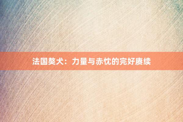 法国獒犬：力量与赤忱的完好赓续