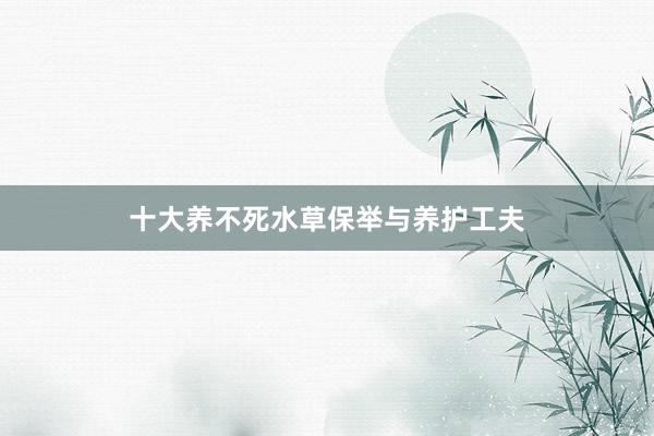 十大养不死水草保举与养护工夫