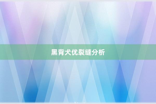 黑背犬优裂缝分析