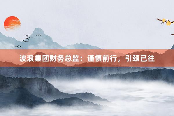 波浪集团财务总监：谨慎前行，引颈已往