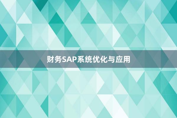 财务SAP系统优化与应用